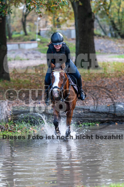 IGV Lehrgang der Sieger der Cups mit Frank Ostholt
