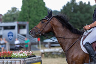 Late-Entry Vielseitigkeit Hamminkeln/Wesel (01.+02.08.2020)