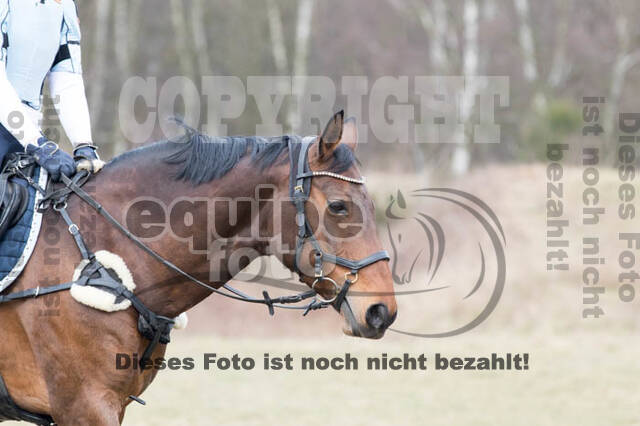 Geländetraining RSV St. Hubertus Wesel Obrighoven (10.+11.03.2018)
