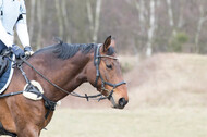 Geländetraining RSV St. Hubertus Wesel Obrighoven (10.+11.03.2018)
