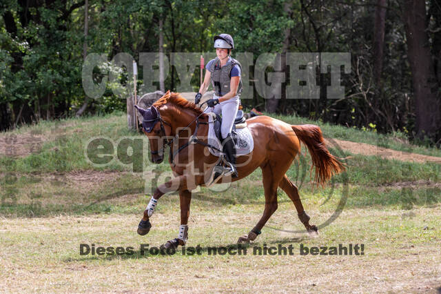 Late-Entry Vielseitigkeit Hamminkeln/Wesel (01.+02.08.2020)
