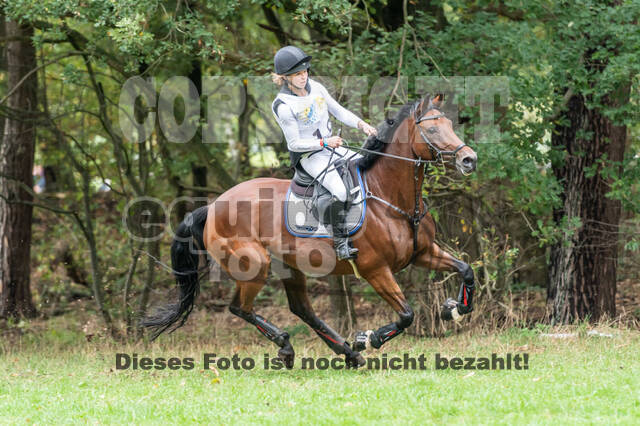 Vielseitigkeit RSV Wesel Obrighoven (26.+27.09.2020)