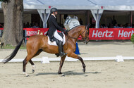 FEI European Championship Eventing 2017