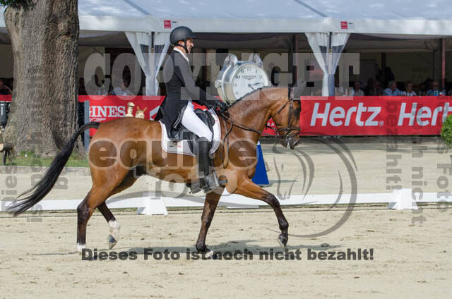 FEI European Championship Eventing 2017