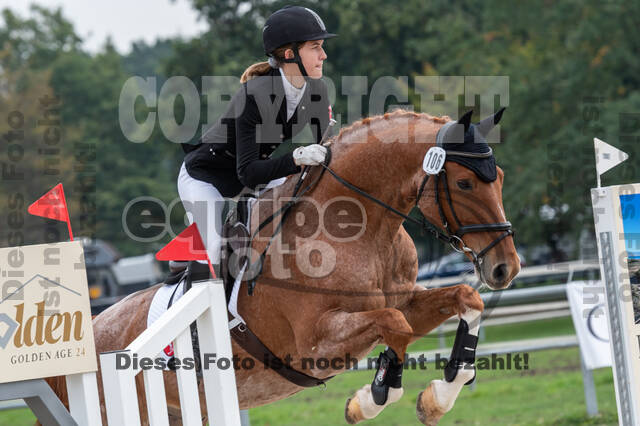 Goldene Schärpe 2020 - Pferde