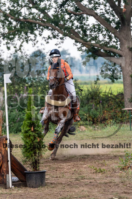 De Peelbergen (August 2020)