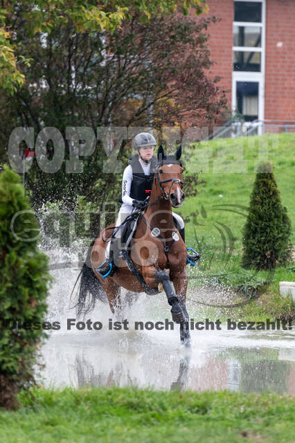 Goldene Schärpe 2020 - Pferde