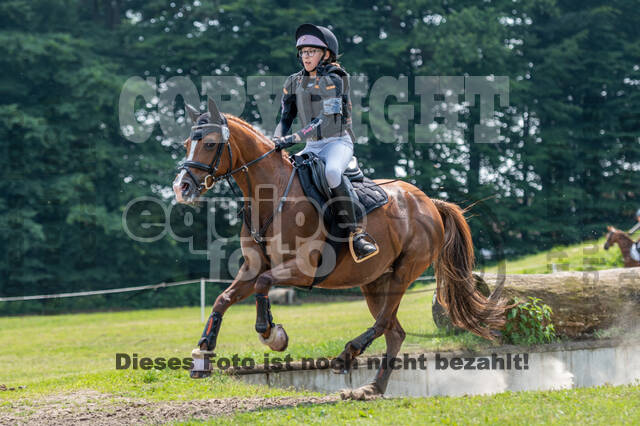 Goldene Schärpe 2021 - Ponys