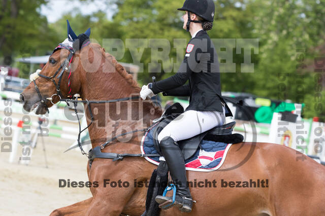 Sterne über Münster 2019 - CCI***S