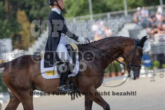 FEI European Championship Eventing 2019