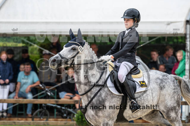 Goldene Schärpe 2021 - Ponys