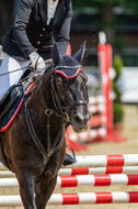 Goldene Schärpe 2021 - Ponys