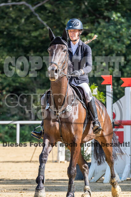 RFV Dinslaken-Hiesfeld (Herbstturnier)