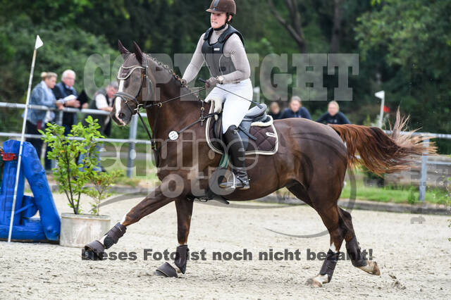 Late-Entry-Vielseitigkeit Langenfeld (11.+13./14.06.2020)