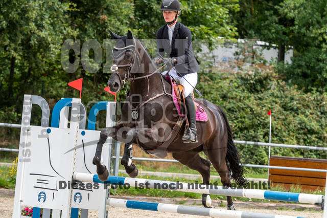 Late-Entry-Vielseitigkeit Langenfeld (06.+07.07.2020)