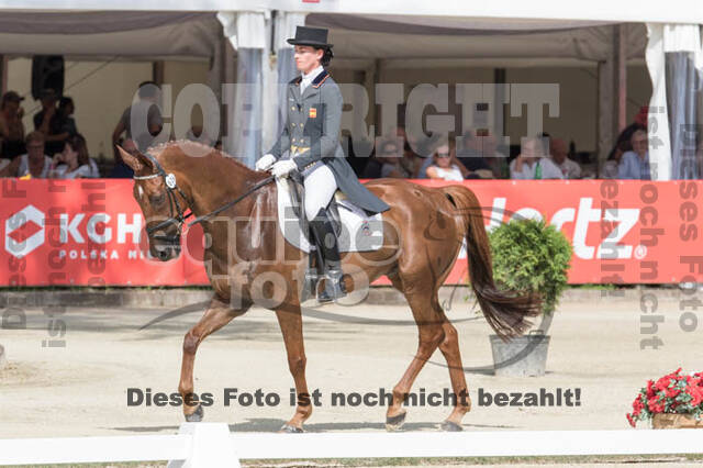 FEI European Championship Eventing 2017