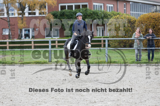 IGV Lehrgang der Sieger der Cups mit Frank Ostholt