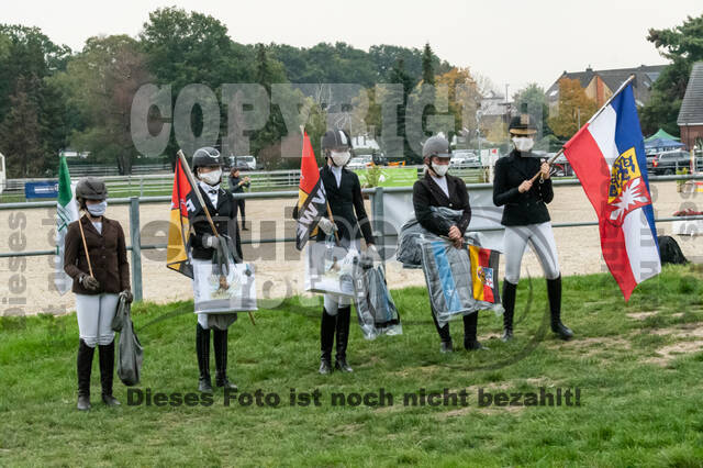 Goldene Schärpe 2020 - Pferde