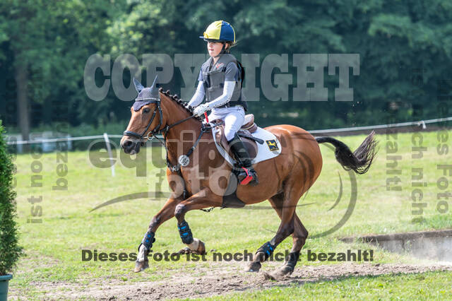 Goldene Schärpe 2021 - Ponys