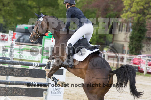 Sterne über Münster 2019 - CCI***S