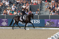 FEI European Championship Eventing 2019