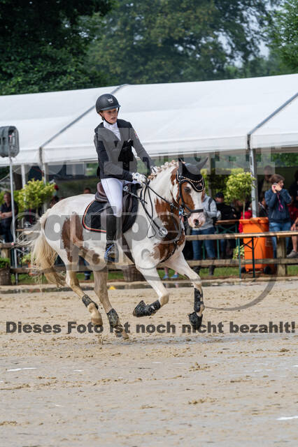 Goldene Schärpe 2021 - Ponys