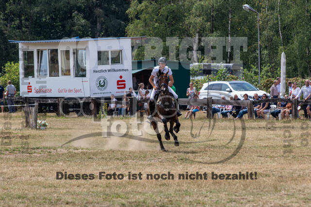 Late-Entry Vielseitigkeit Hamminkeln/Wesel (01.+02.08.2020)