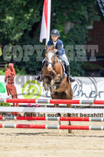 Goldene Schärpe 2021 - Ponys