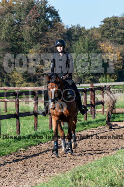 Vielseitigkeitslehrgang mit Jürg Kurbel (9.+10.11.2019)