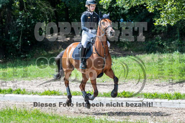 Late-Entry-Vielseitigkeit Langenfeld (06.+07.07.2020)