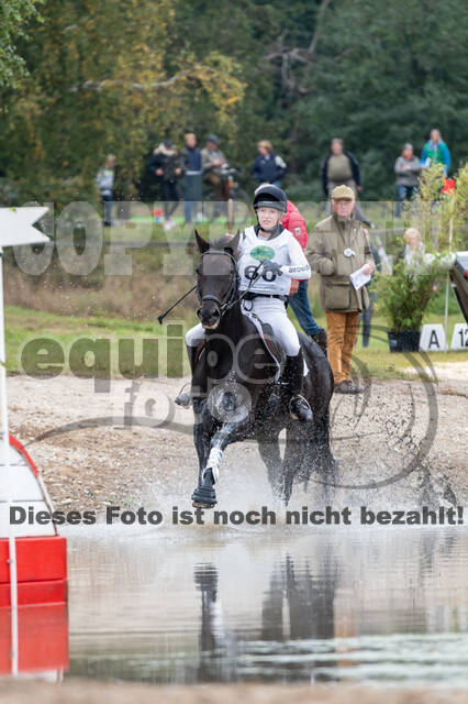 Deutsche Meisterschaft Vielseitigkeit (Luhmühlen)