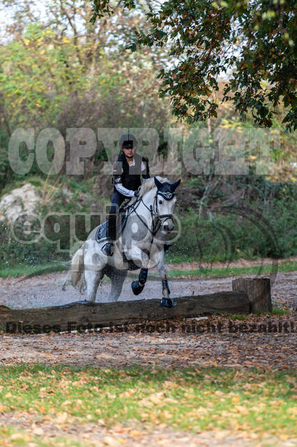 IGV Lehrgang der Sieger der Cups mit Frank Ostholt