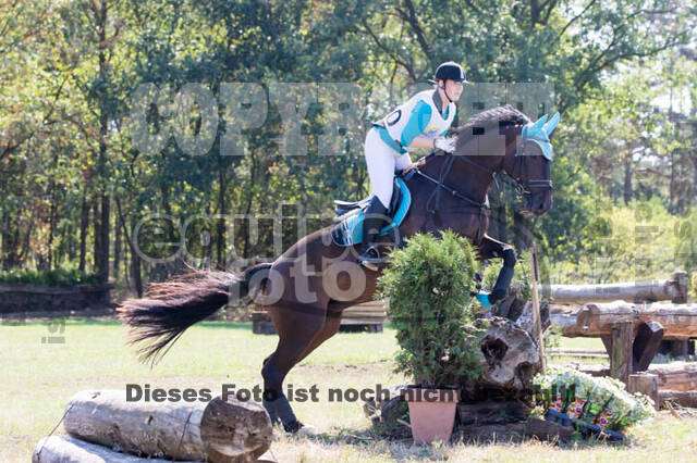 Vielseitigkeitsturnier RSV St. Hubertus Wesel Obrighoven