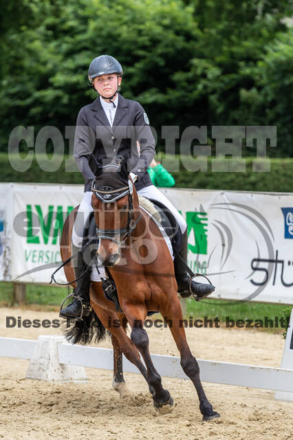 Goldene Schärpe 2021 - Ponys