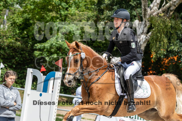 Late-Entry-Vielseitigkeit Langenfeld (06.+07.07.2020)