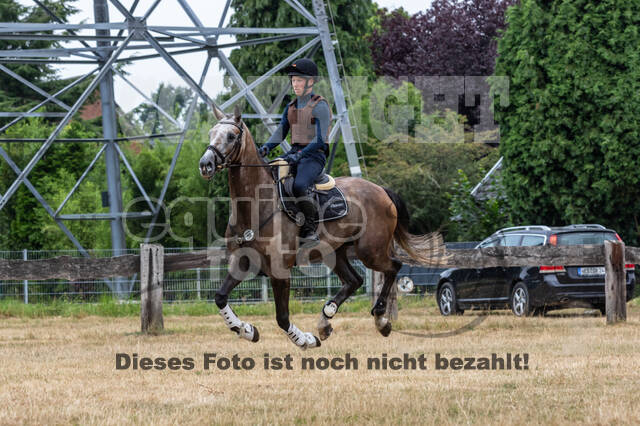 Late-Entry Vielseitigkeit Hamminkeln/Wesel (01.+02.08.2020)