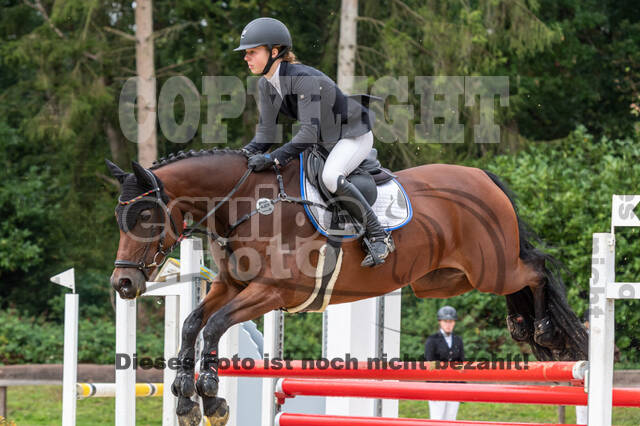 Vielseitigkeit RSV Wesel Obrighoven (26.+27.09.2020)