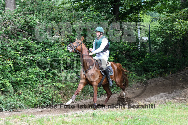 Late-Entry-Vielseitigkeit Langenfeld (11.+13./14.06.2020)