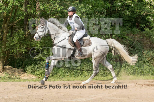 Vielseitigkeitsturnier ZRFV von Lützow Hamminkeln