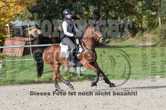 IGV Lehrgang der Sieger der Cups mit Frank Ostholt