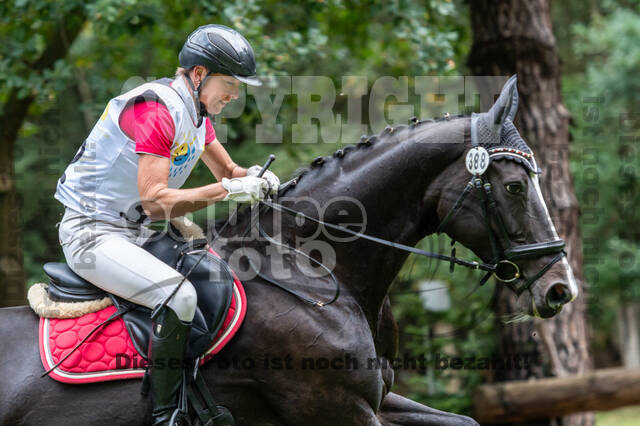 Vielseitigkeit RSV Wesel Obrighoven (26.+27.09.2020)