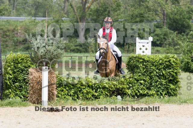 Vielseitigkeitsturnier RuFV Rheurdt