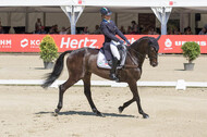 FEI European Championship