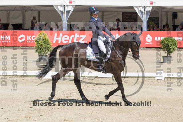 FEI European Championship
