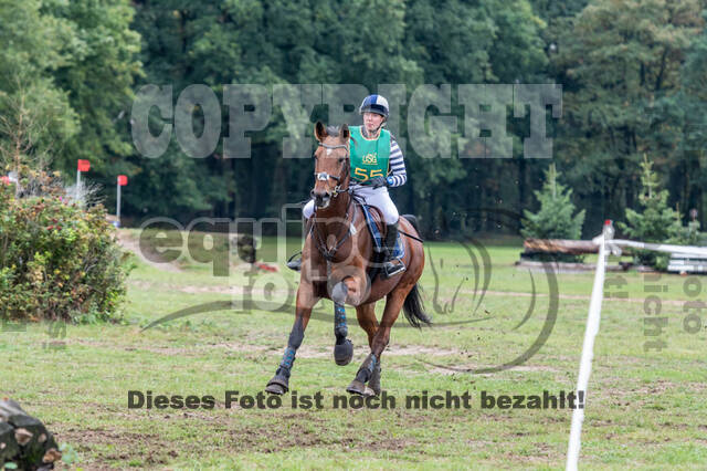 Vielseitigkeit RSV Wesel Obrighoven (26.+27.09.2020)