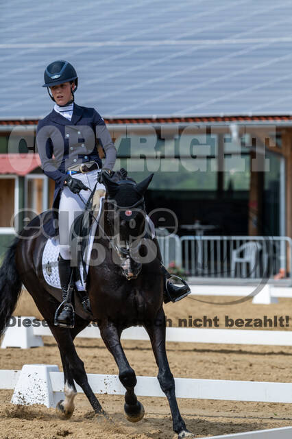 Westerstede Horse Trials 2021