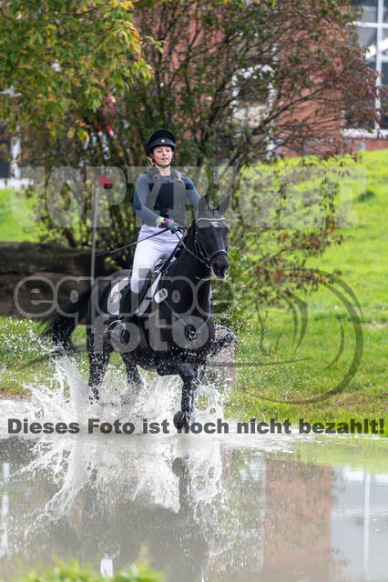 Reiter Schleswig-Holstein