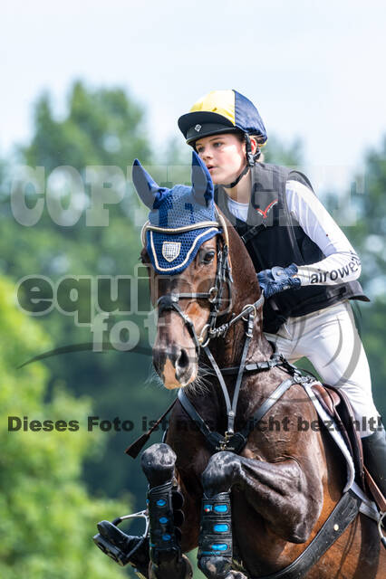 Goldene Schärpe 2021 - Ponys