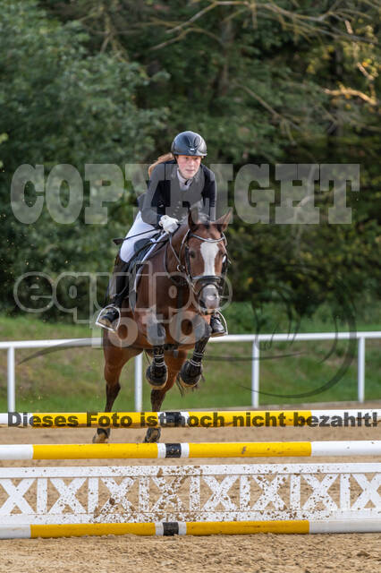 RFV Dinslaken-Hiesfeld (Herbstturnier)