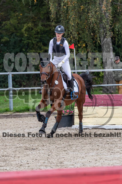 Goldene Schärpe 2020 - Pferde